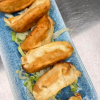 Gyoza (6)