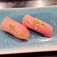 Yellowtail